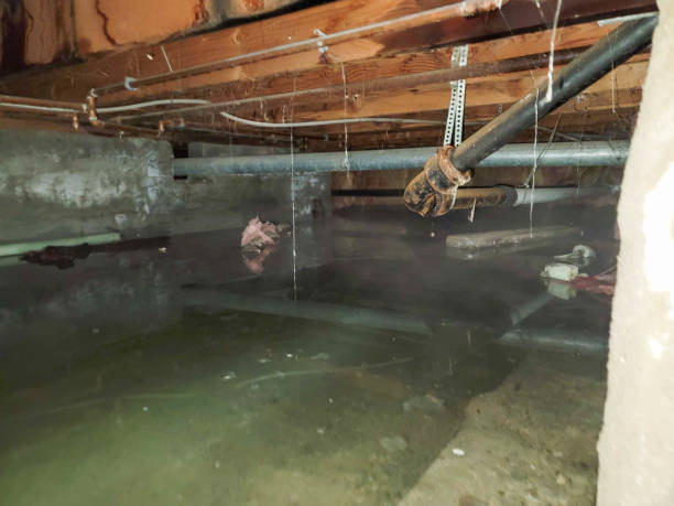 Best Emergency water damage restoration  in Lakefield, MN