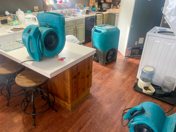 Sewage cleanup and water damage restoration in MN