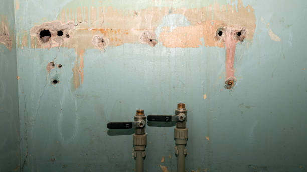  Lakefield, MN Water damage restoration Pros