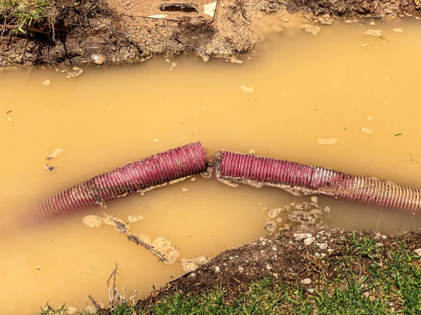 Carpet water damage restoration in MN